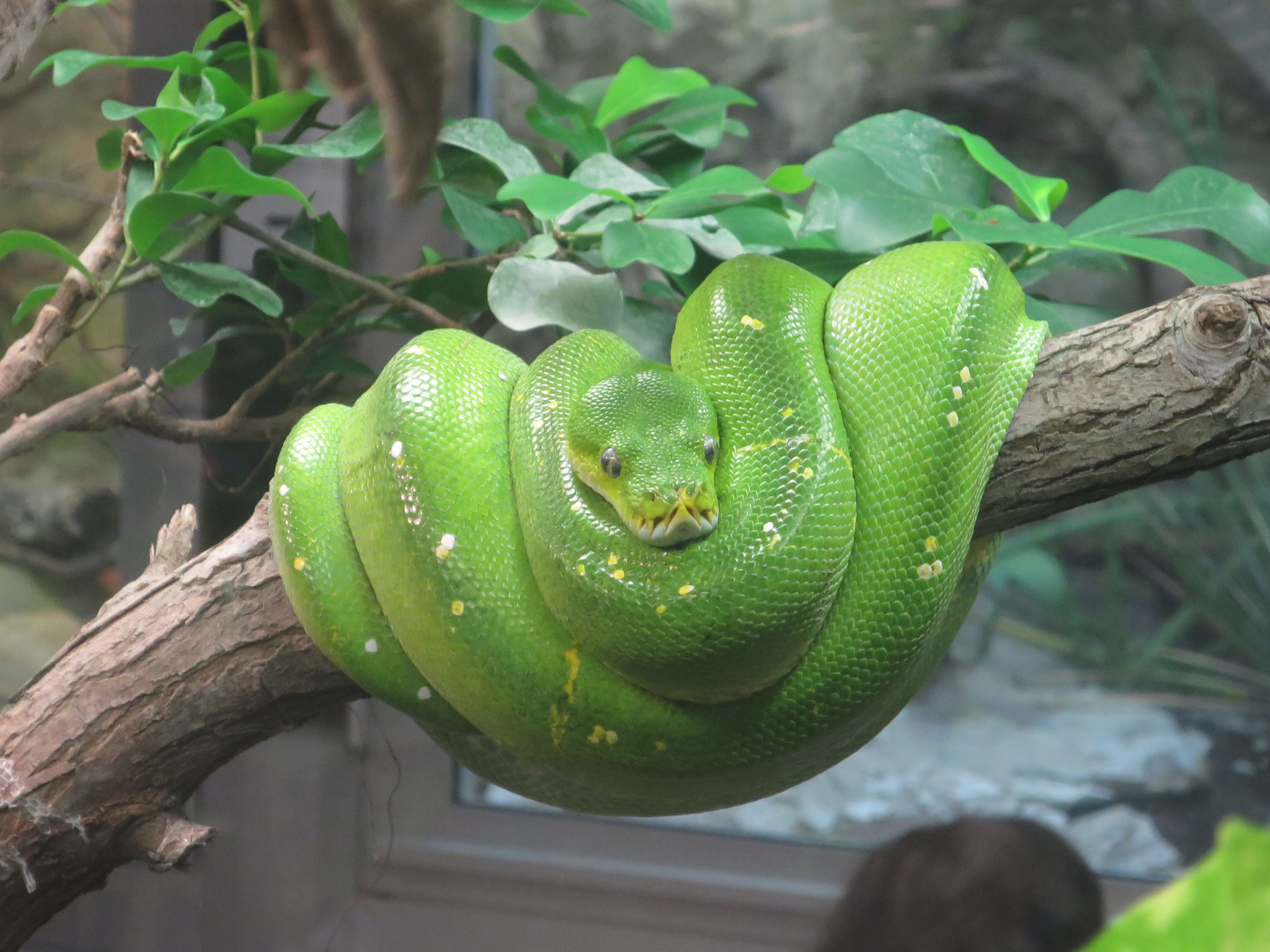 Tierpark Zoo  18